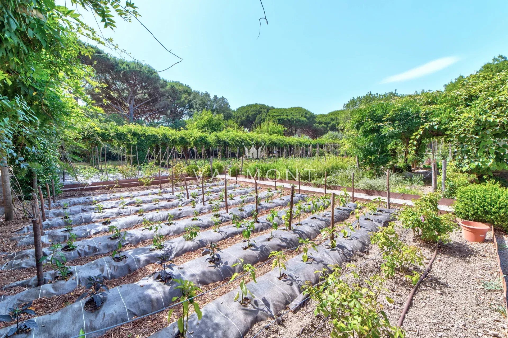 5e89bbba6e1ef7fd3f7ddd2704a91722_d2019007fe_1920-original-7819-0.jpg Real haven of peace in the heart of Ramatuelle