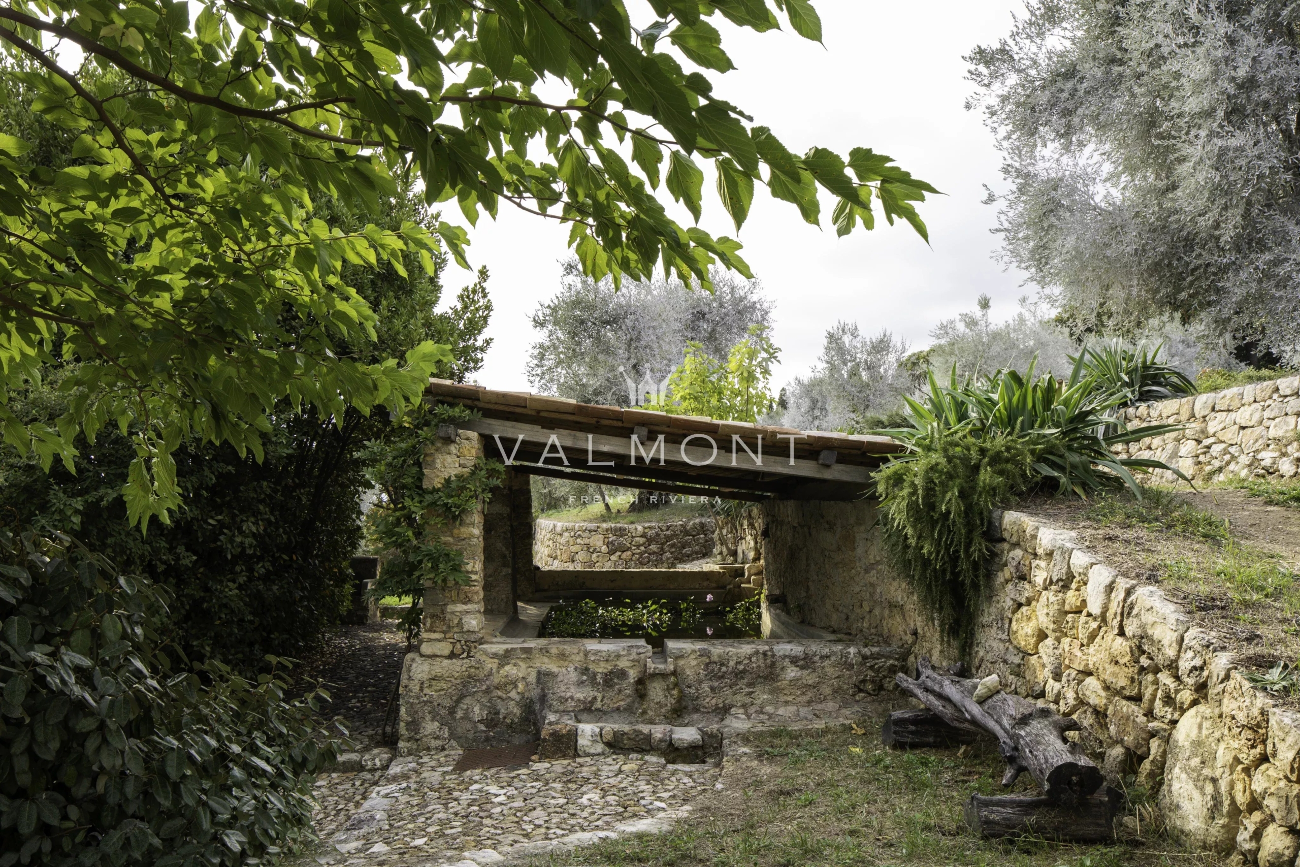 Olive Estate in the Heart of the Pays de Grasse