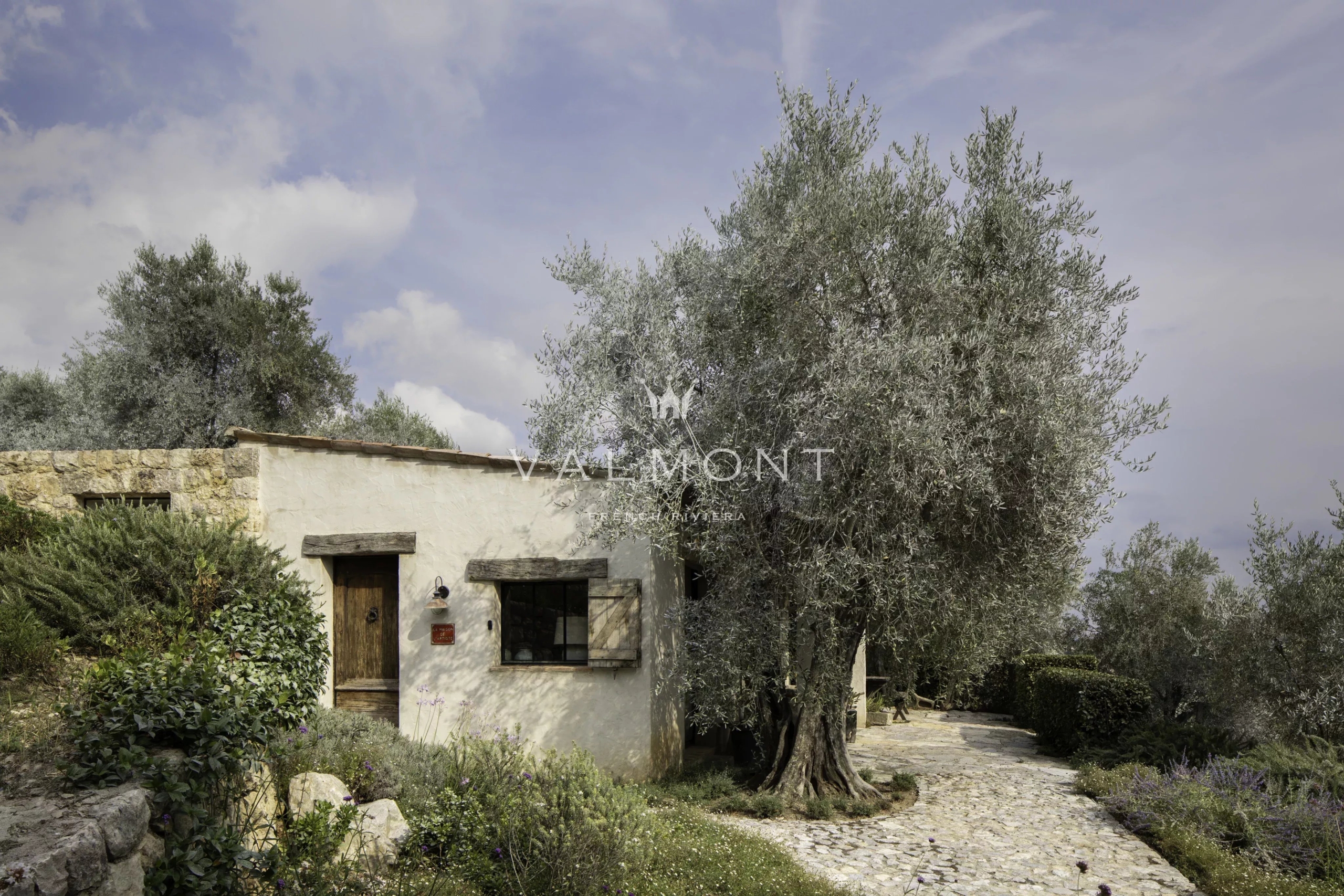 Olive Estate in the Heart of the Pays de Grasse