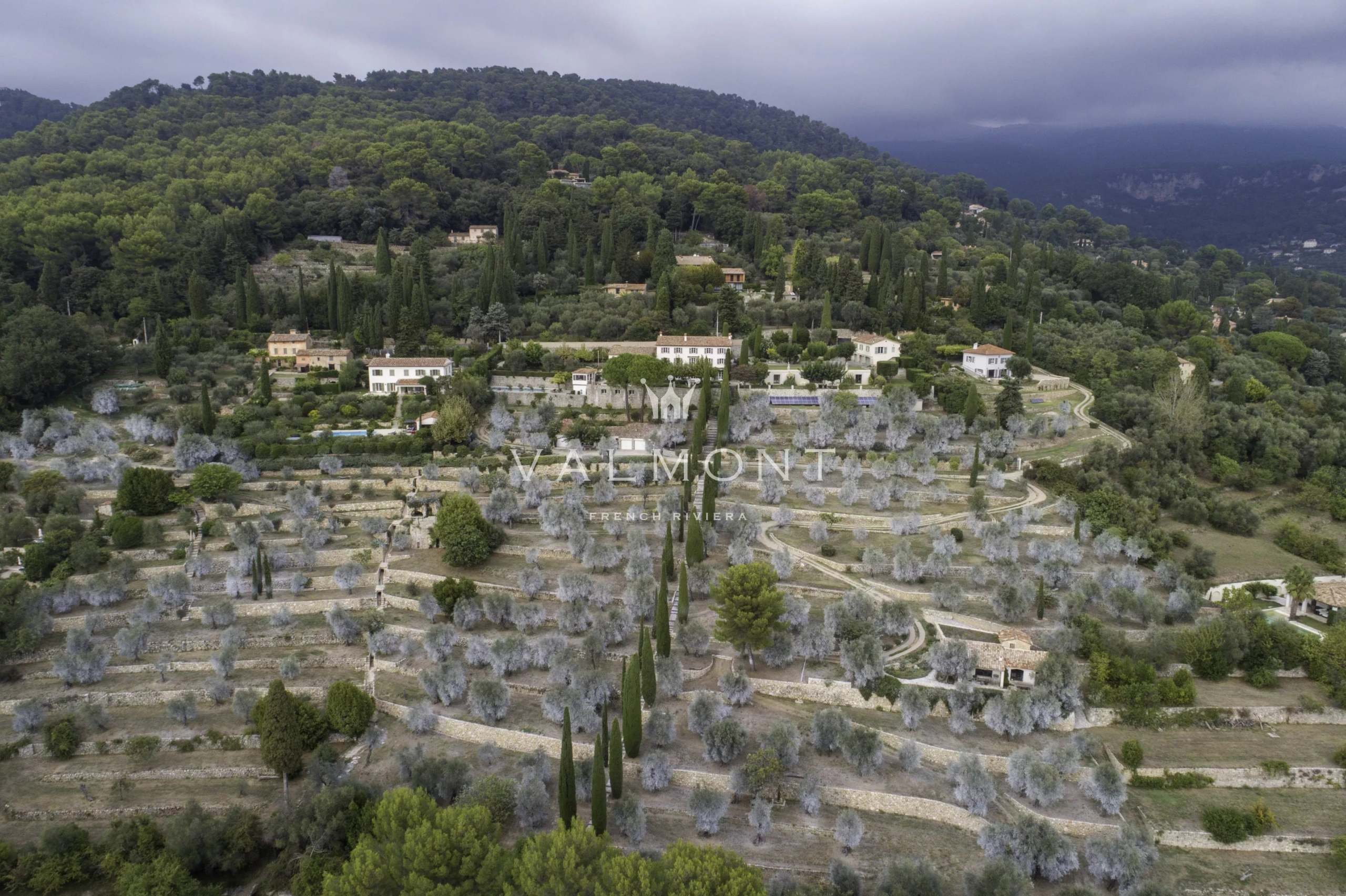 Olive Estate in the Heart of the Pays de Grasse