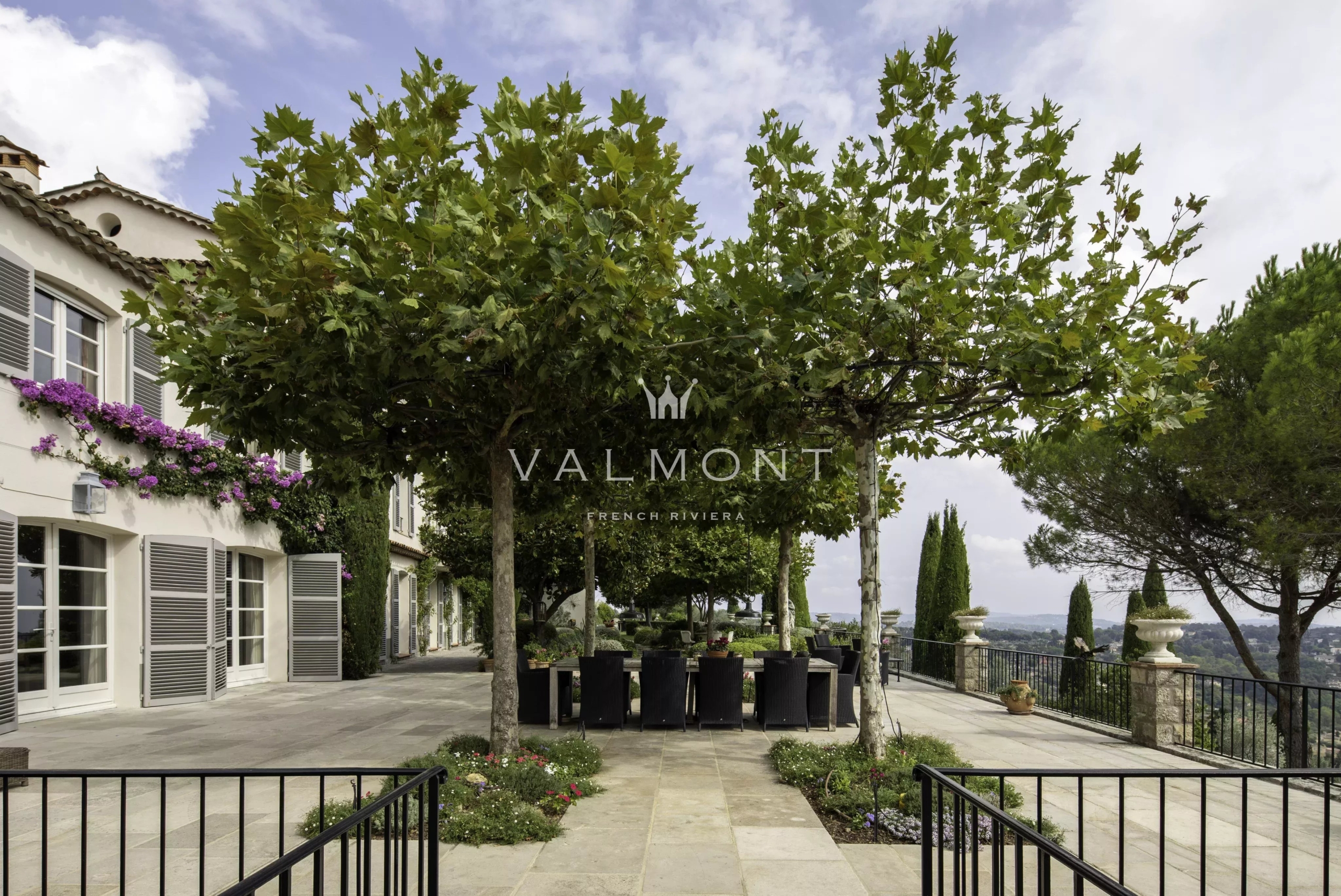 Olive Estate in the Heart of the Pays de Grasse