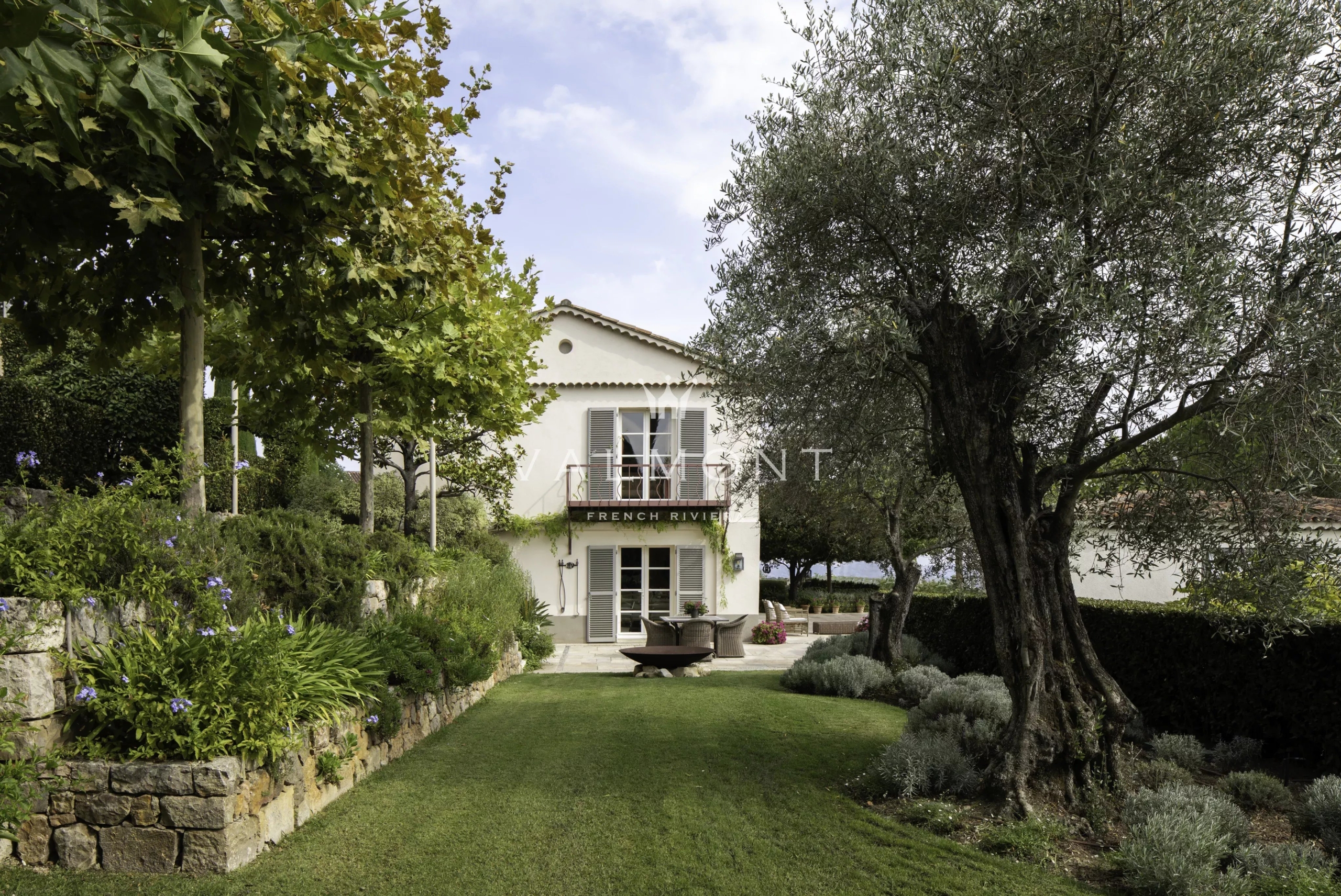 Olive Estate in the Heart of the Pays de Grasse