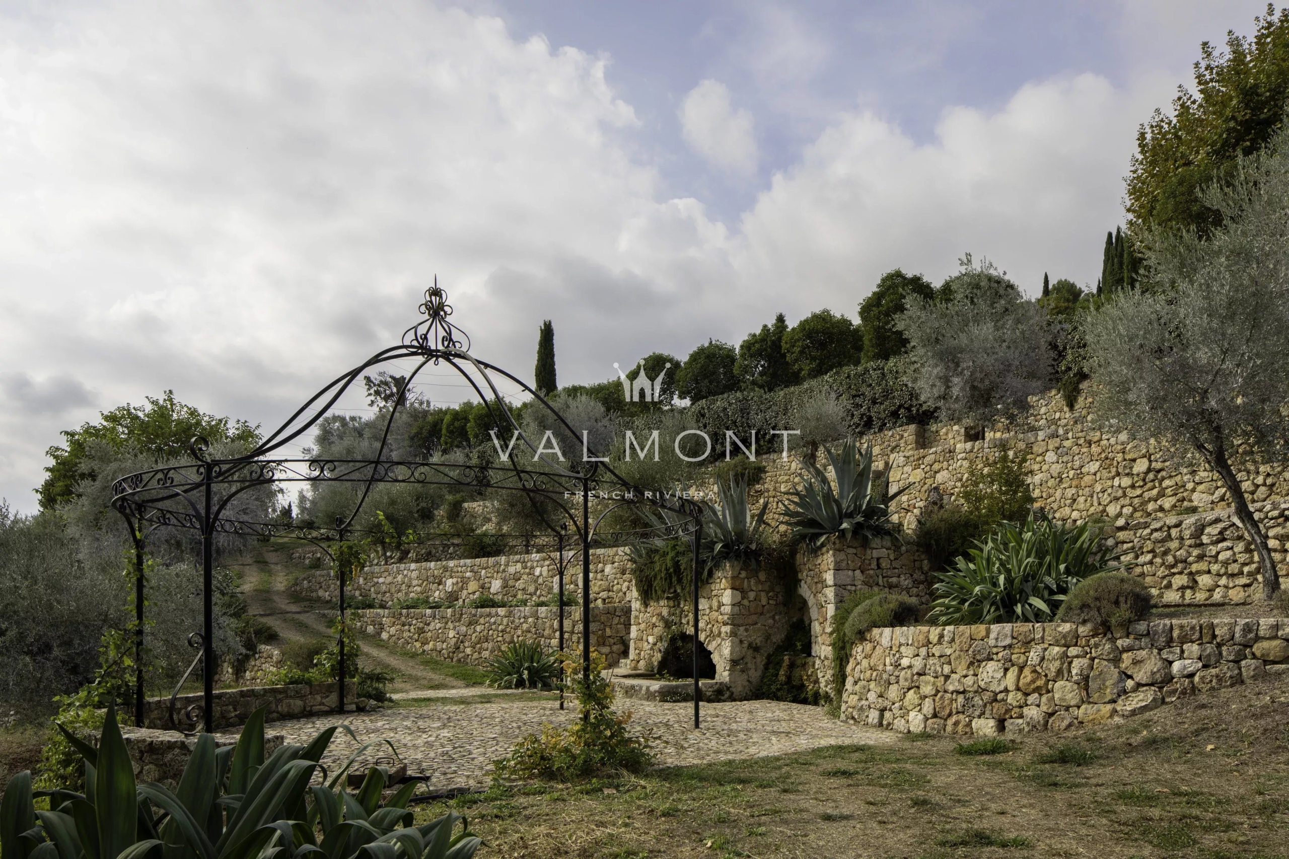 Olive Estate in the Heart of the Pays de Grasse