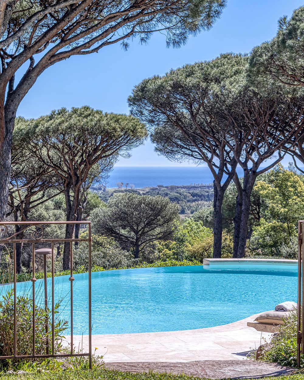 Piscine à débordement sous les pins parasols avec vue mer, Côte d’Azur
